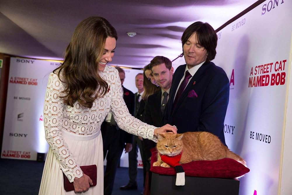 ボブという名の猫 幸せのハイタッチの画像