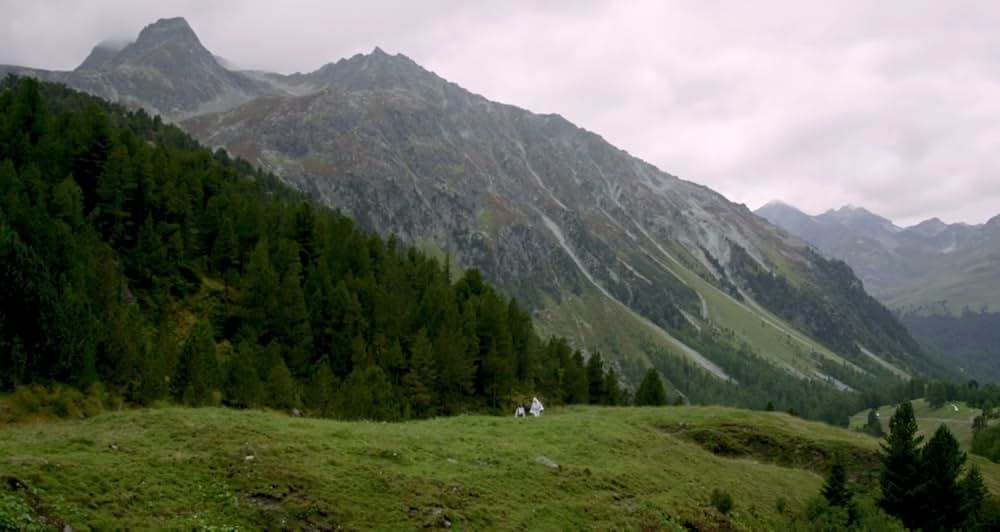 Adam Green's Aladdin（原題）の画像