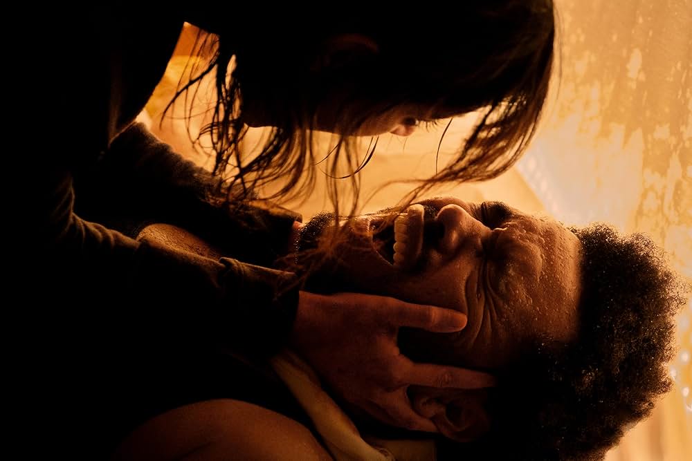 Hurry Up Tomorrow（原題）の画像