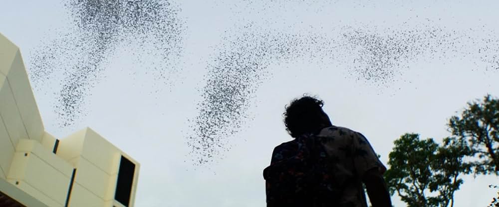 The Resort（原題）の画像