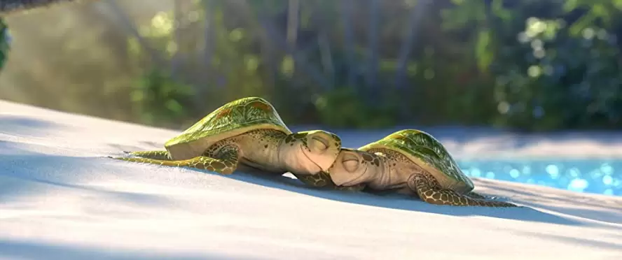 南の島のラブソングの画像