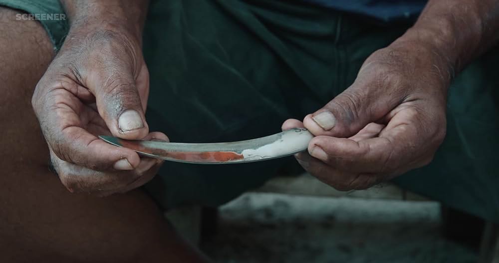 シカ・スバールの画像