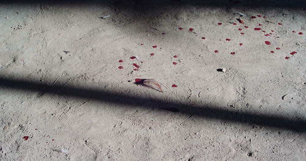 シカ・スバールの画像