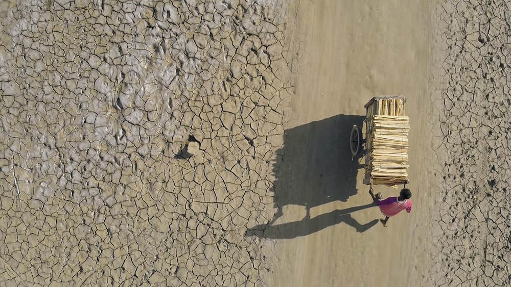 シカ・スバールの画像