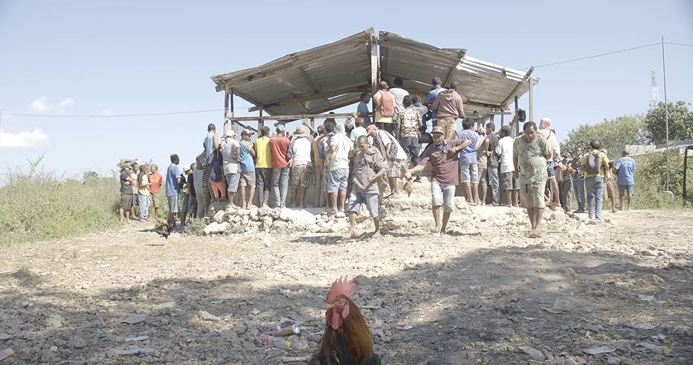 シカ・スバールの画像