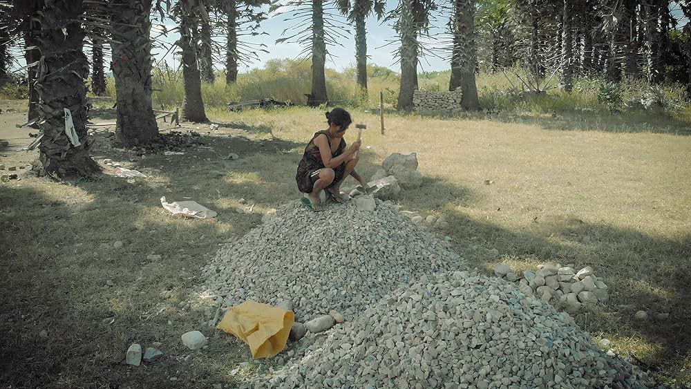 シカ・スバールの画像