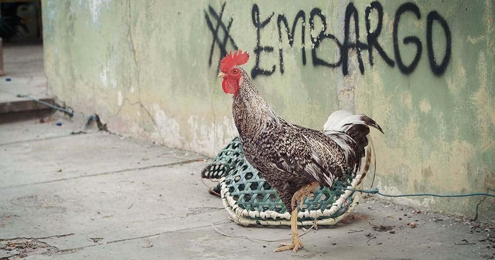 シカ・スバールの画像