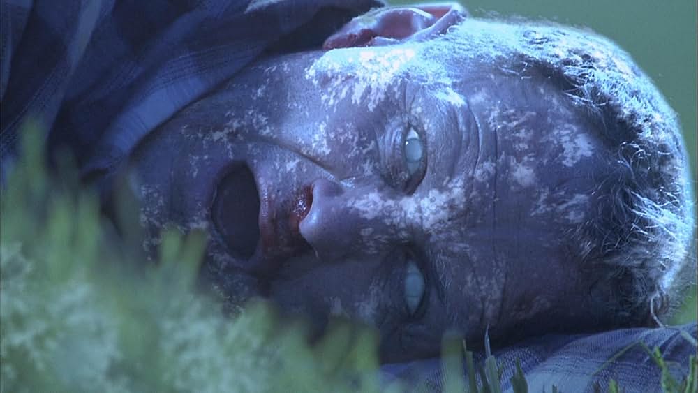 アイス・ツイスターの画像