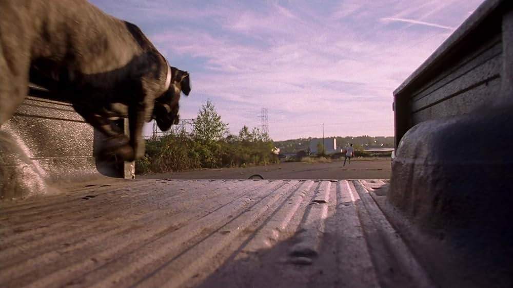 わるわる探犬隊の画像