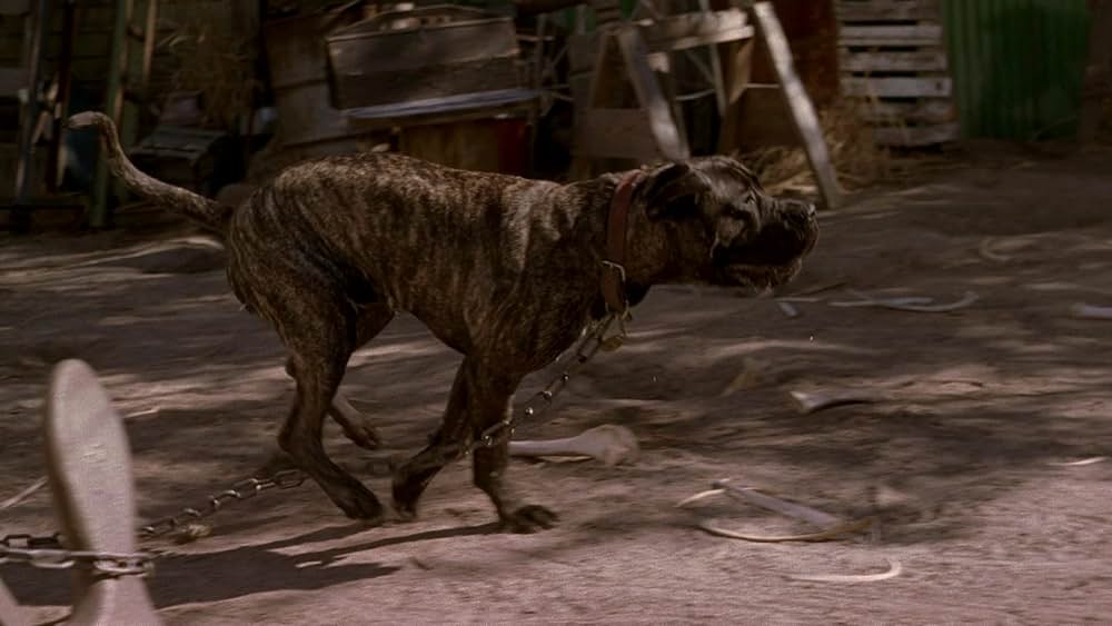 「わるわる探犬隊」の画像