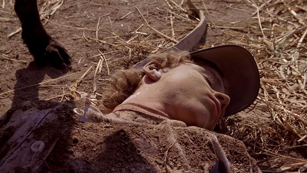 わるわる探犬隊の画像