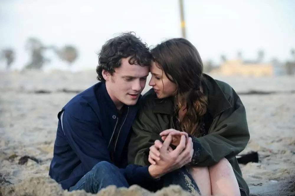 今日、キミに会えたらの画像