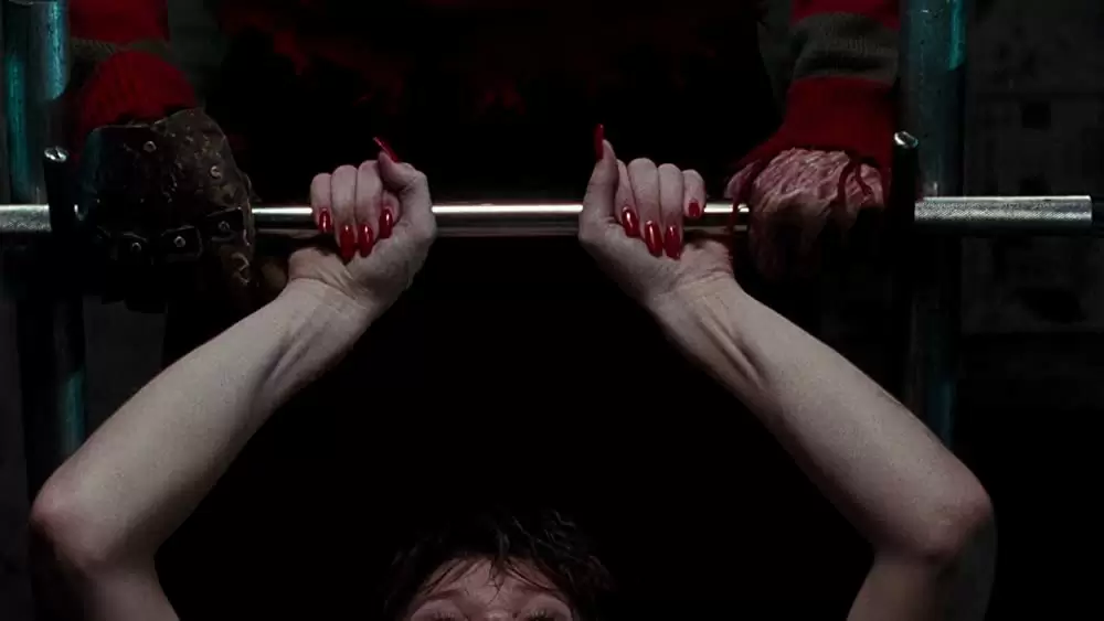 「エルム街の悪夢4／ザ・ドリームマスター最後の反撃」ロバート・イングランド & Brooke Theissの画像