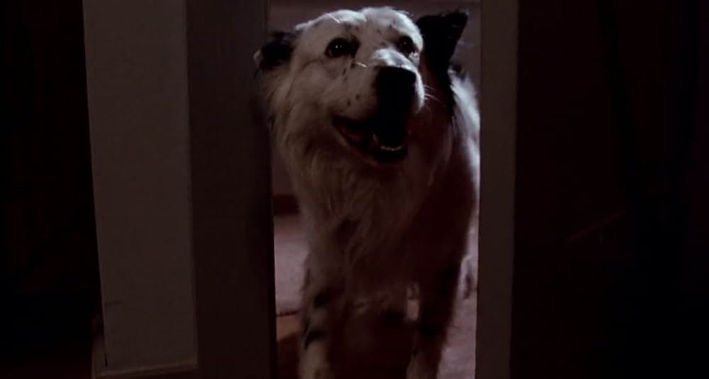 エルム街の悪夢4／ザ・ドリームマスター最後の反撃の画像