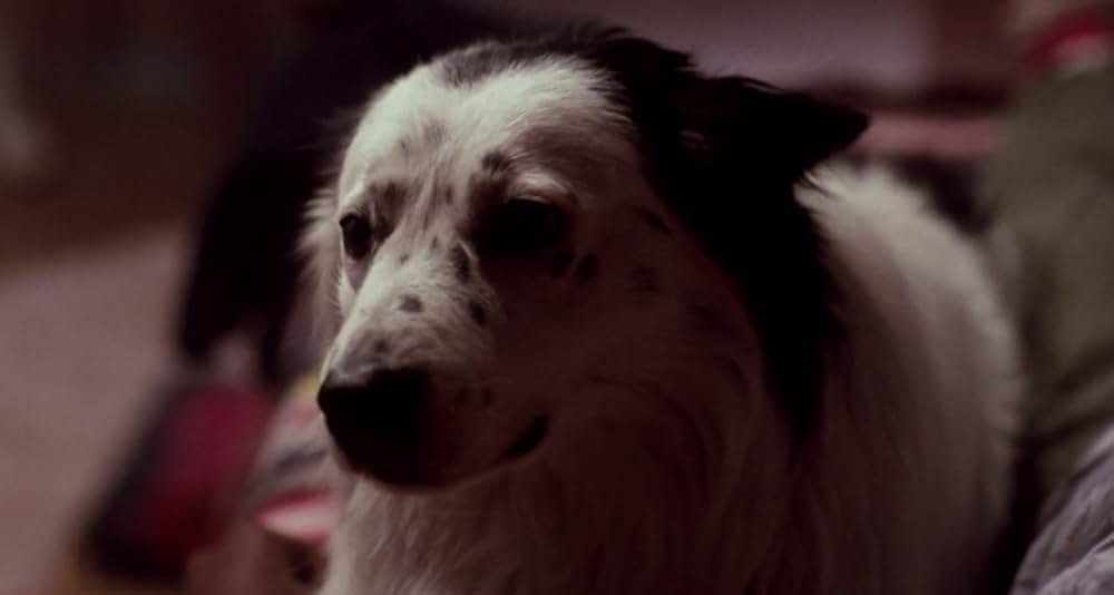 エルム街の悪夢4／ザ・ドリームマスター最後の反撃の画像