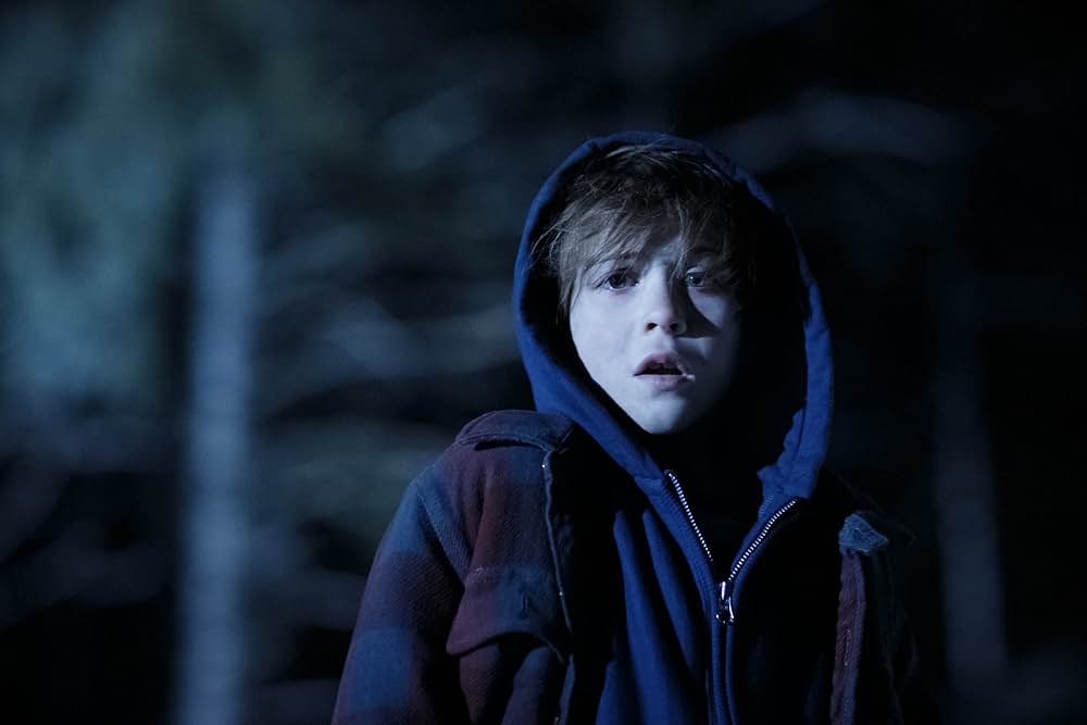 シャット・イン（原題）の画像