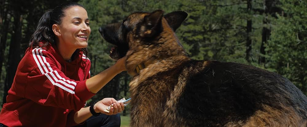 ラン・ベイビー・ランの画像