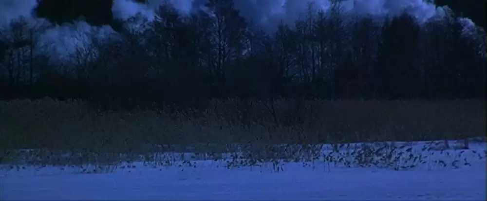 アンナ・カレーニナの画像