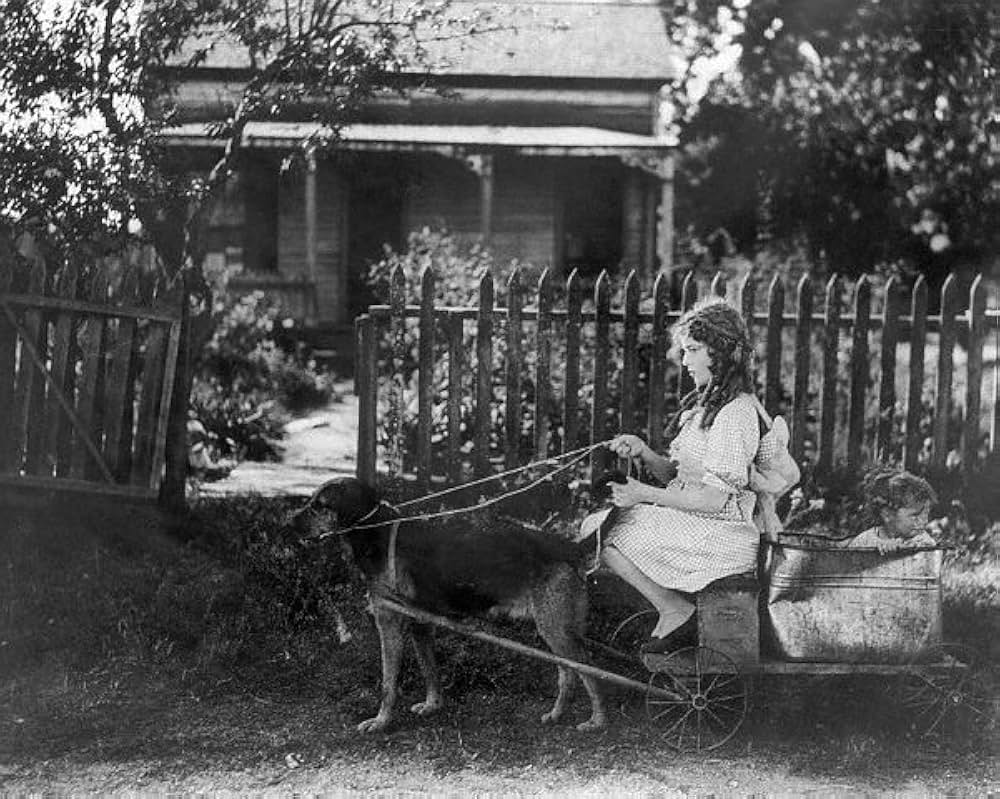 「Pollyanna（原題）」の画像