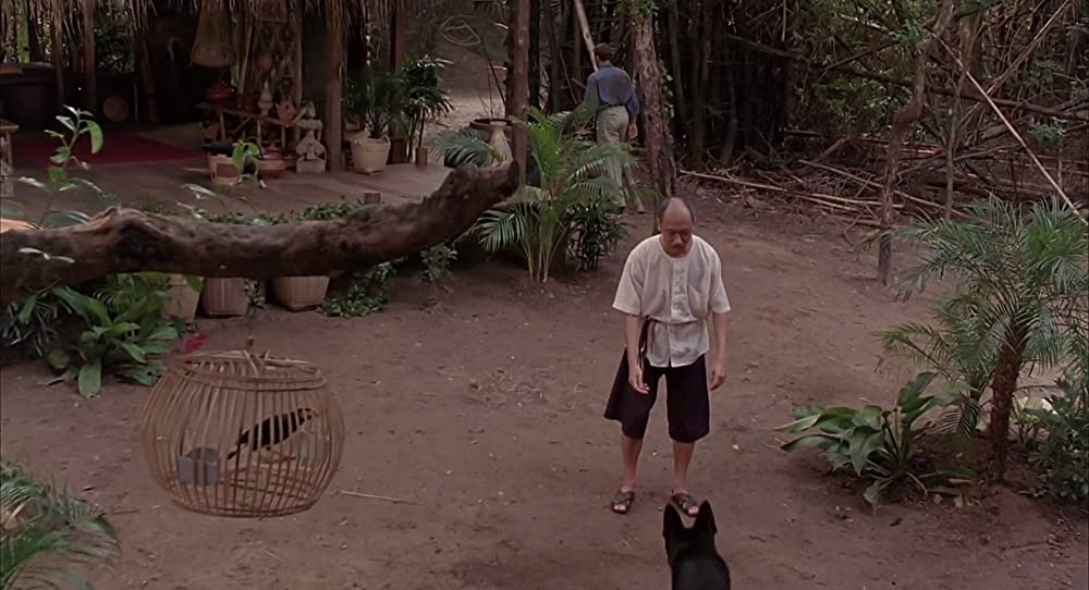 キックボクサーの画像