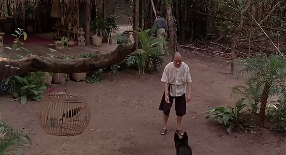 「キックボクサー」陳國新の画像