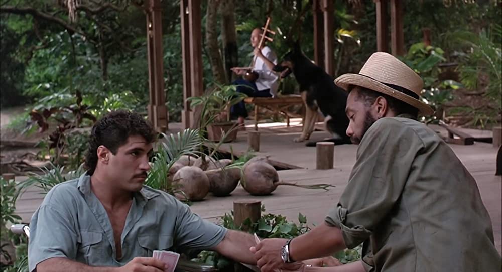 キックボクサーの画像