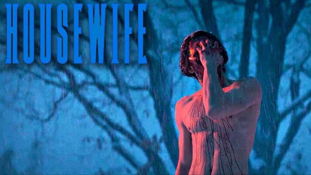 Housewife（原題）の画像