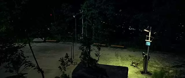 「復讐者に憐れみを」の画像