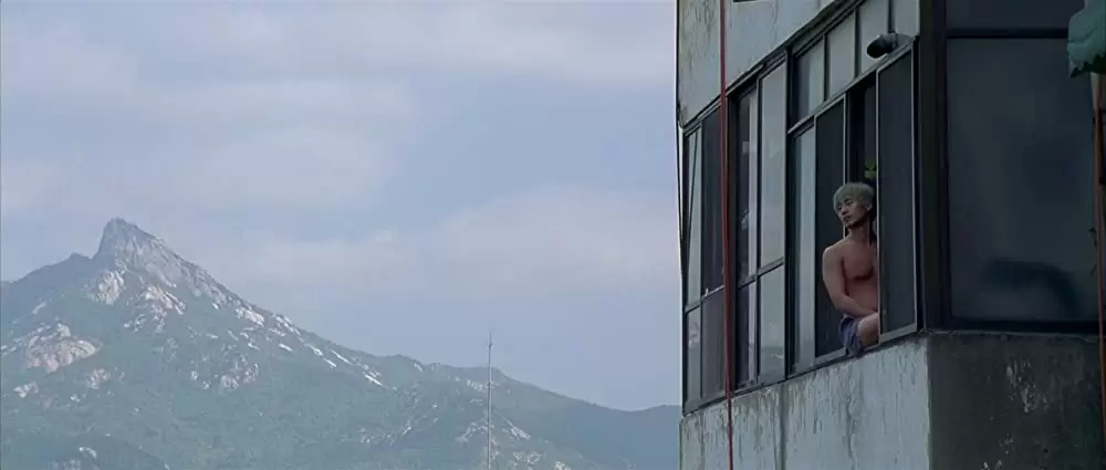 「復讐者に憐れみを」の画像