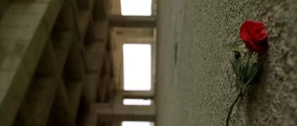 「復讐者に憐れみを」の画像