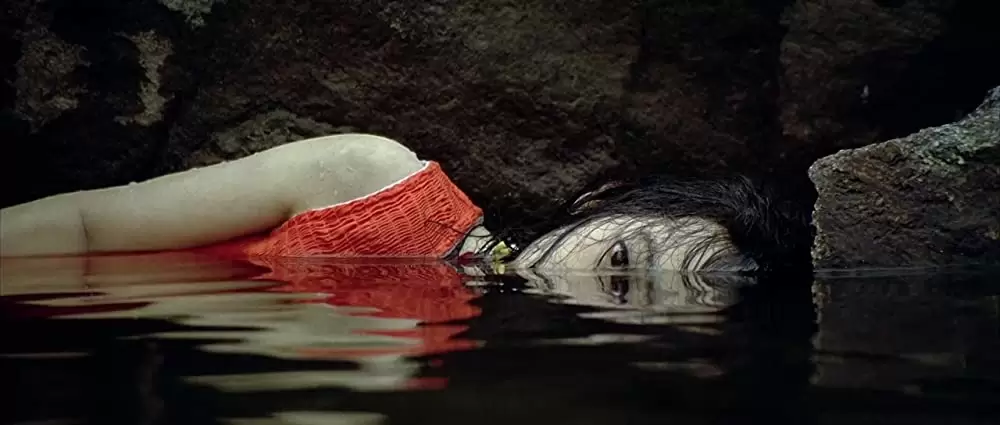 「復讐者に憐れみを」の画像