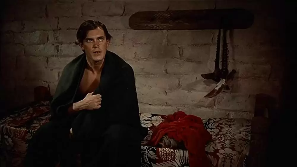 「捜索者」ジェフリー・ハンターの画像