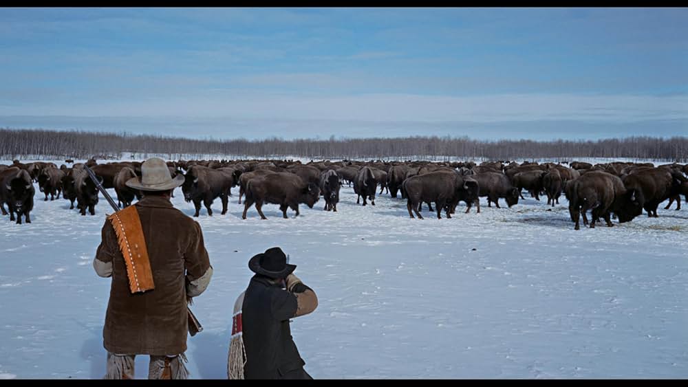 「捜索者」の画像