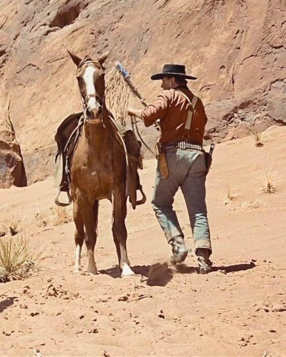 「捜索者」の画像