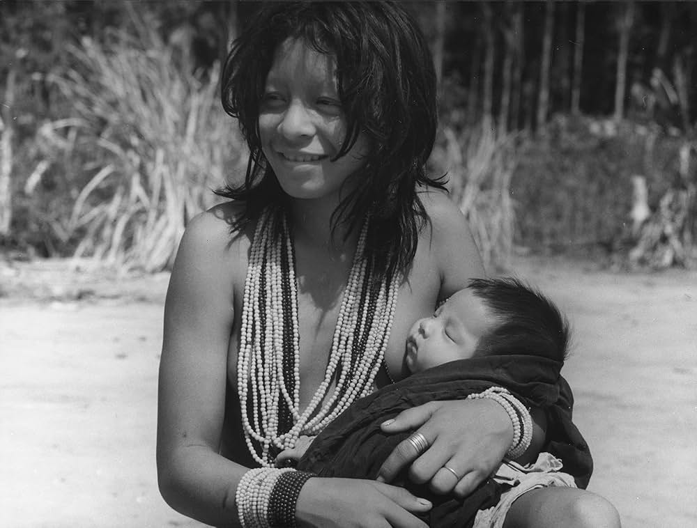 Faja lobbi（原題）の写真