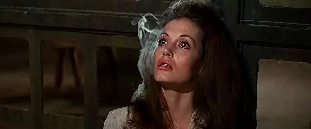 「ウエストワールド」の画像