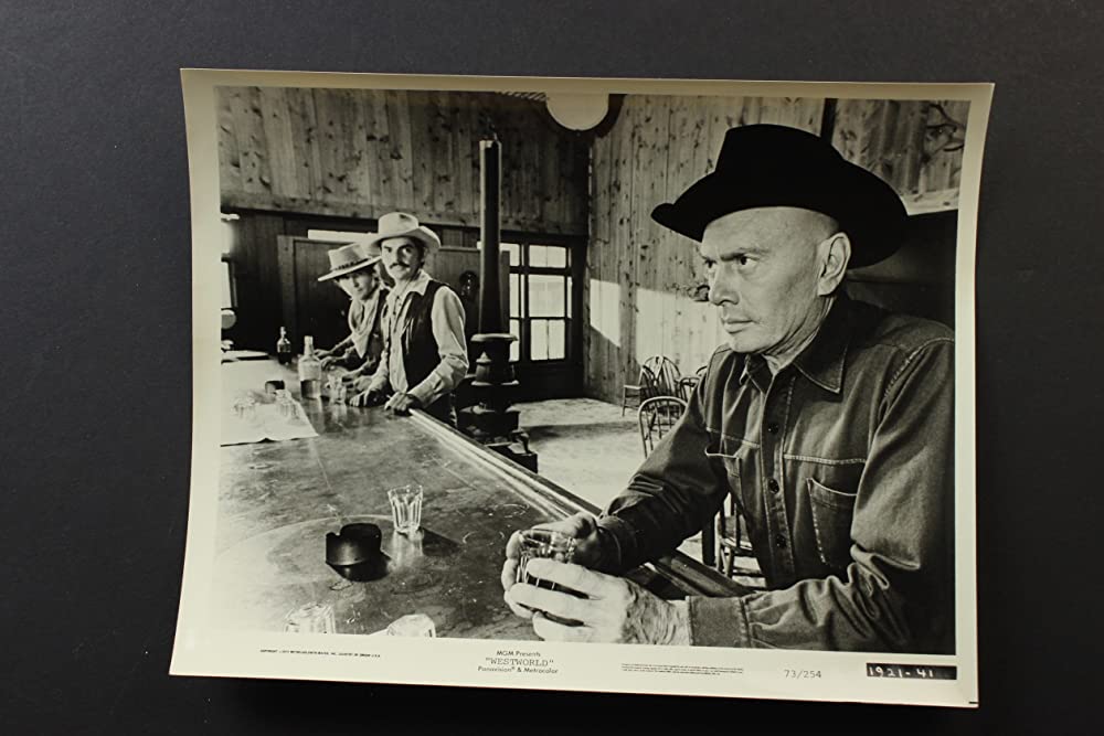 ウエストワールドの画像