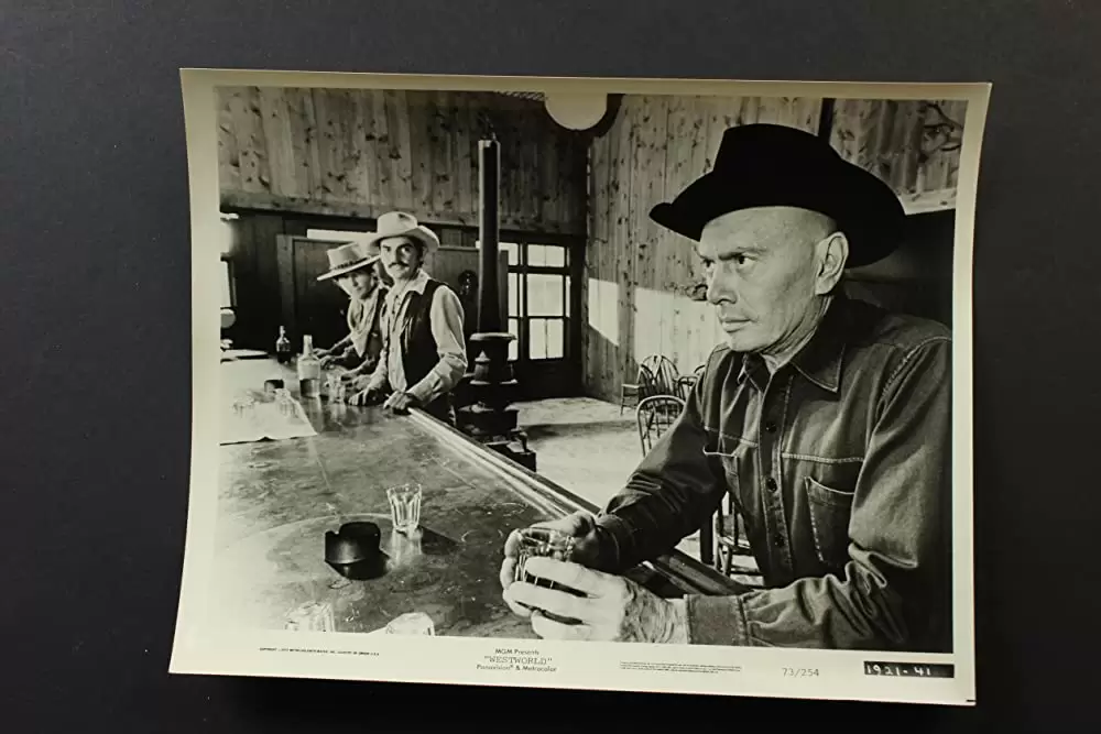 ウエストワールドの画像