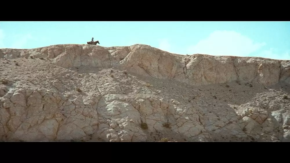 ウエストワールドの画像