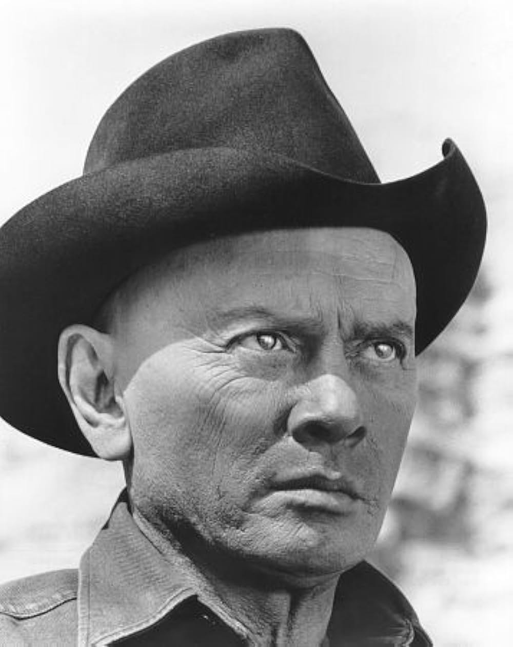 ウエストワールドの画像