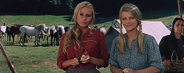 花と夕日とライフルと… 風来坊の画像