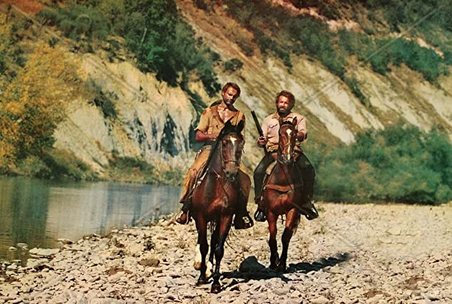 花と夕日とライフルと… 風来坊の画像