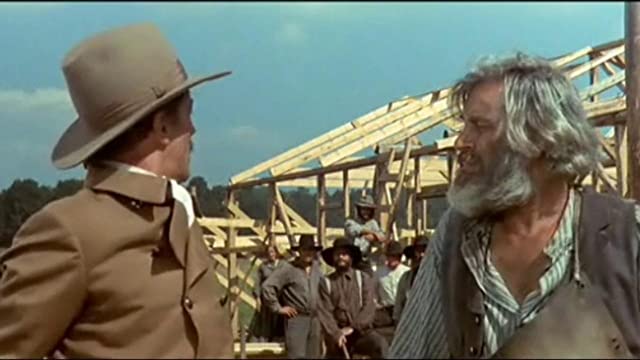 花と夕日とライフルと… 風来坊の画像