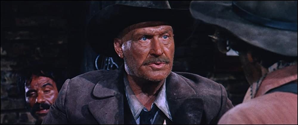 花と夕日とライフルと… 風来坊の画像