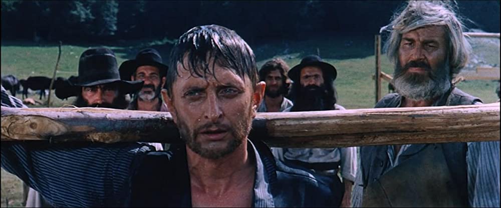 花と夕日とライフルと… 風来坊の画像