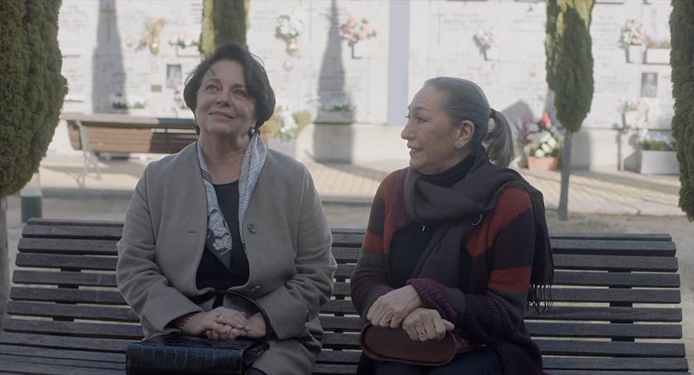 忘れな草の画像