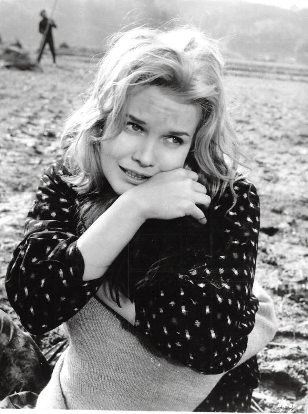 太陽にかける橋の画像