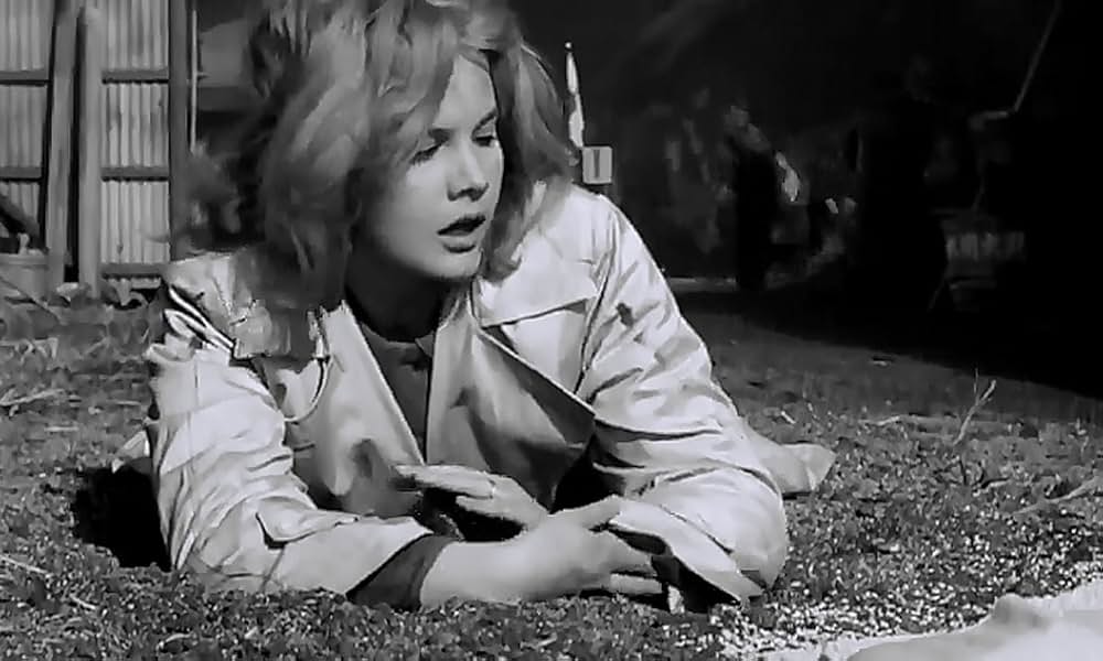 太陽にかける橋の画像