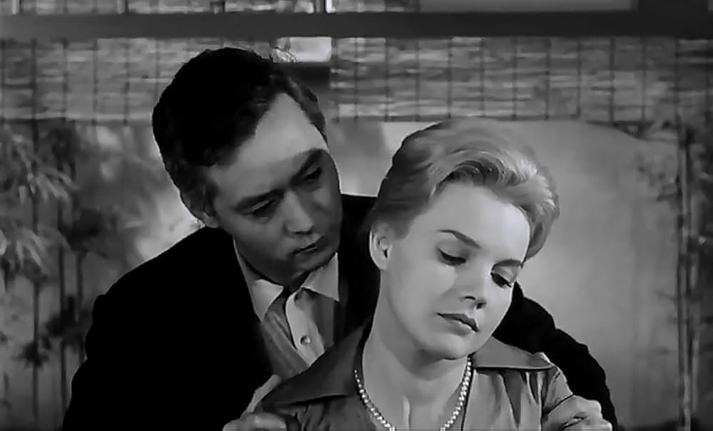 太陽にかける橋の画像