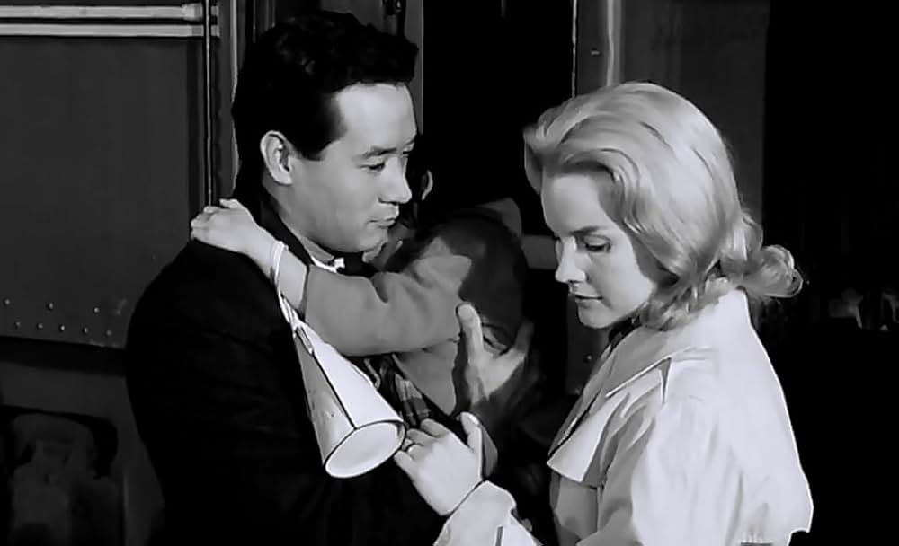 太陽にかける橋の画像